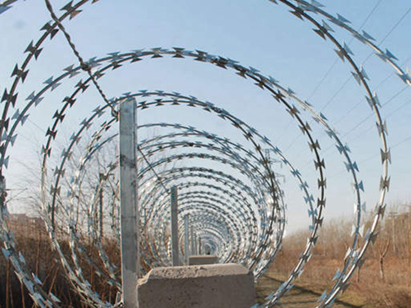 高鐵刺絲滾籠圖片5