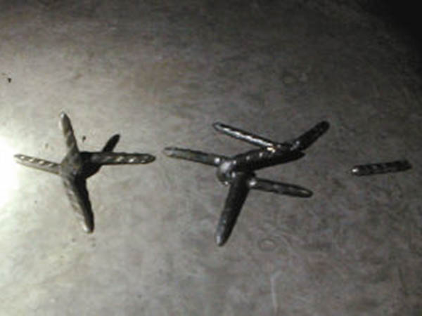 青海鐵蒺藜圖片2