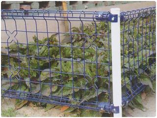 雙圈護欄網(wǎng)