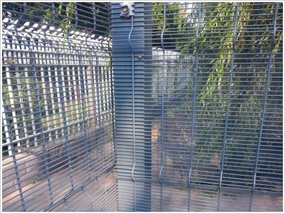 358防攀爬護欄網/