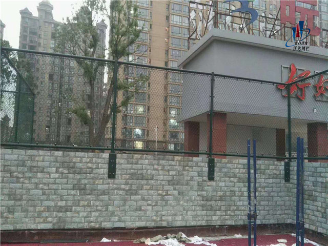 山東安徽皖西當代運動場圍網工程圖片5