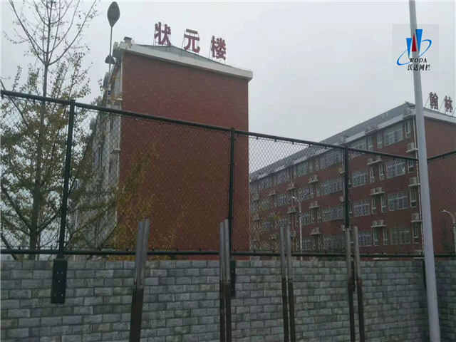 山東安徽皖西當代運動場圍網工程圖片6