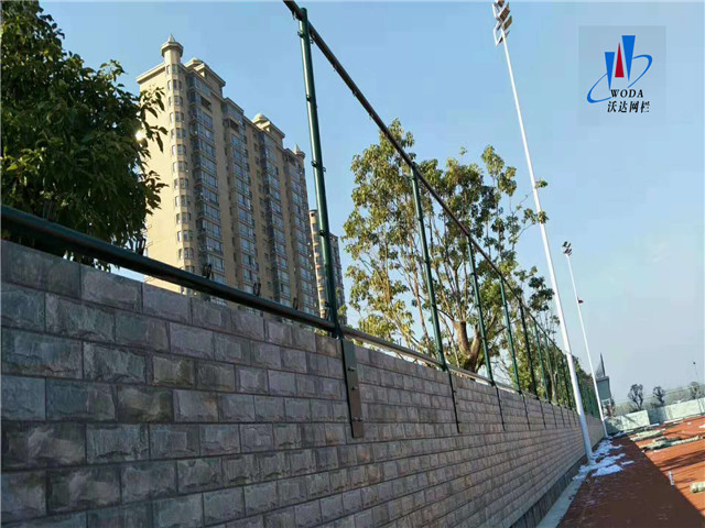 山東安徽皖西當代運動場圍網工程圖片3